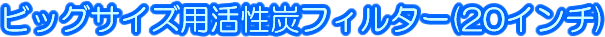 ӥåܥե륿