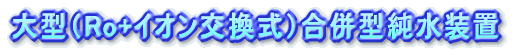 Âç·¿¡ÊRo¡Ê+¡Ë¥¤¥ª¥ó¸ò´¹¼°¡Ë¹çÊ»·¿½ã¿åÁõÃÖ