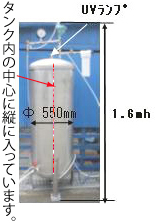 λ