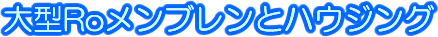 10ϥ
